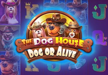 Microgaming - игровой автомат онлайн от Various с RTP 96.34%